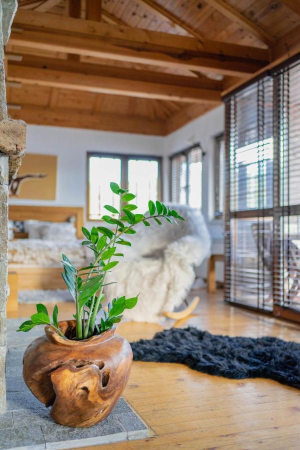 Rodope Nook Guest House Chepelare Esterno foto